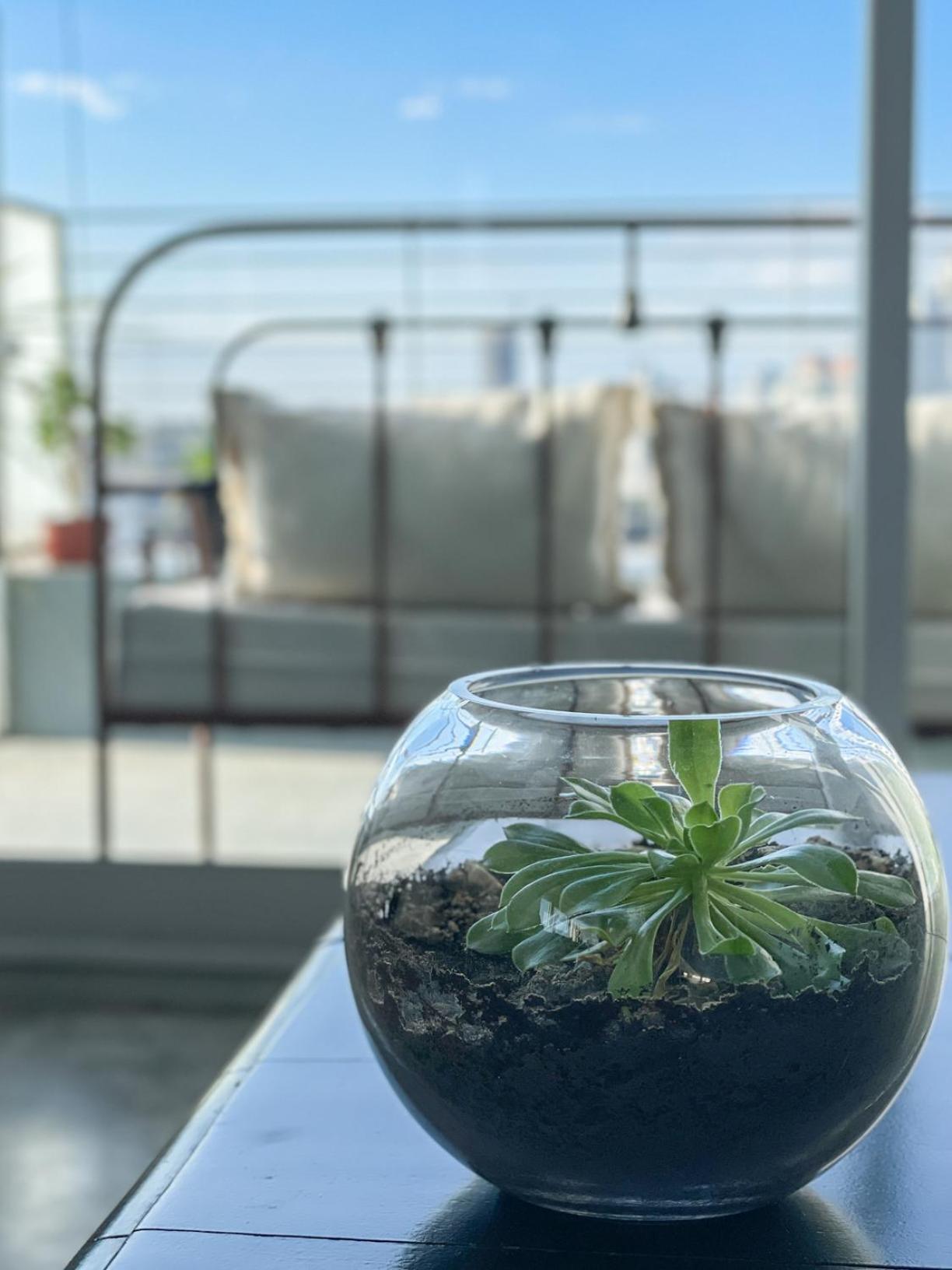 Hollywood Suites & Lofts 부에노스아이레스 외부 사진